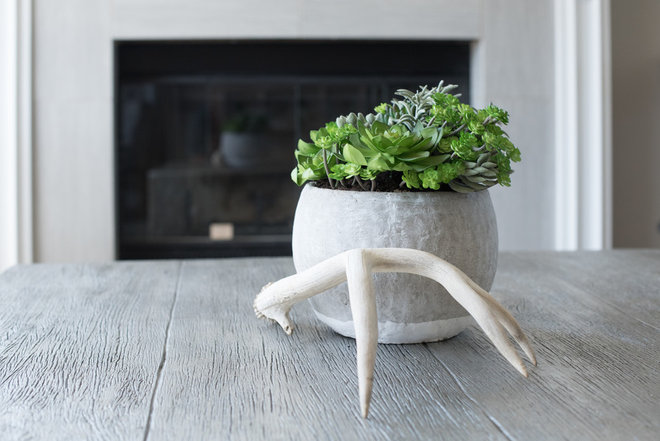 Transitional  by Meddock Interiors