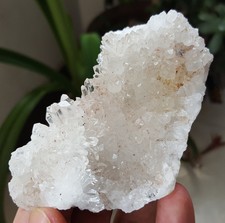 107G  Chinese chrysanthemum stone NATURAL quartz crystal cluster point  T71913