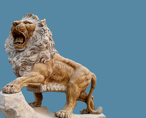 Yellow Stone Lion M-Lion-11