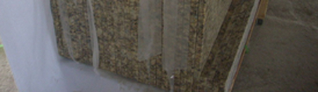 Brazil Cecilia GCT-06