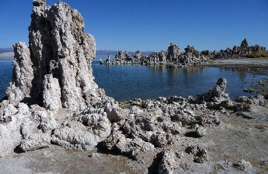 Sheila Indianapolis and Chinese Travertine