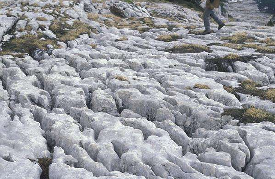 Limestone is mainly the following types