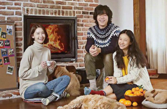 A portrait of beauty | decorative fireplace